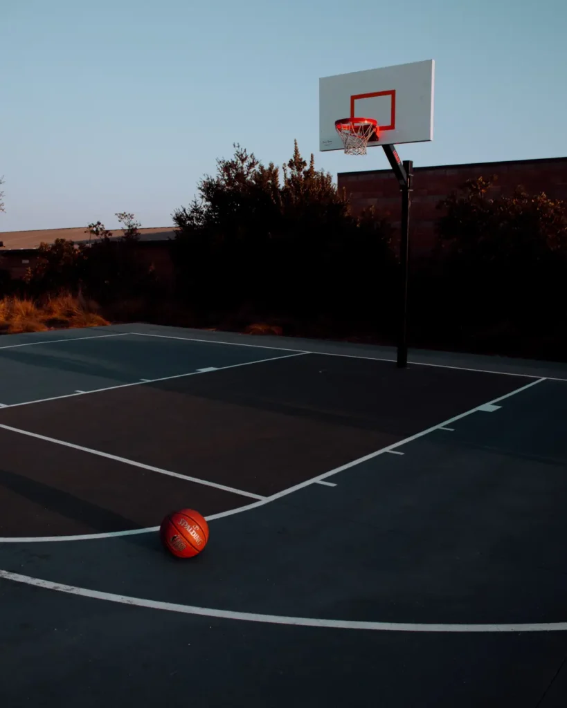 Backyard Basketball Hoop Court
