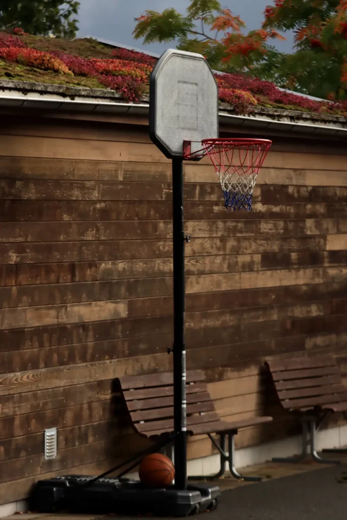 Portable Basketball Hoop Outdoor