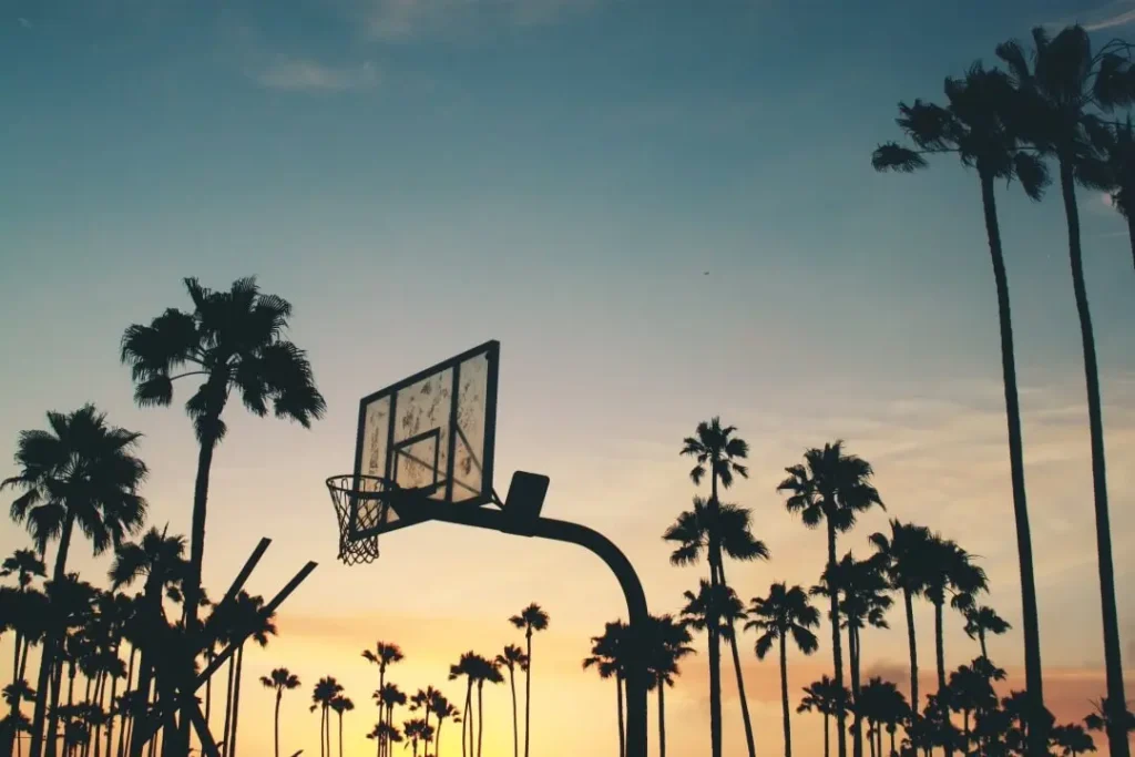 Huddlecourt Basketball Hoop Backboard at Sunset
