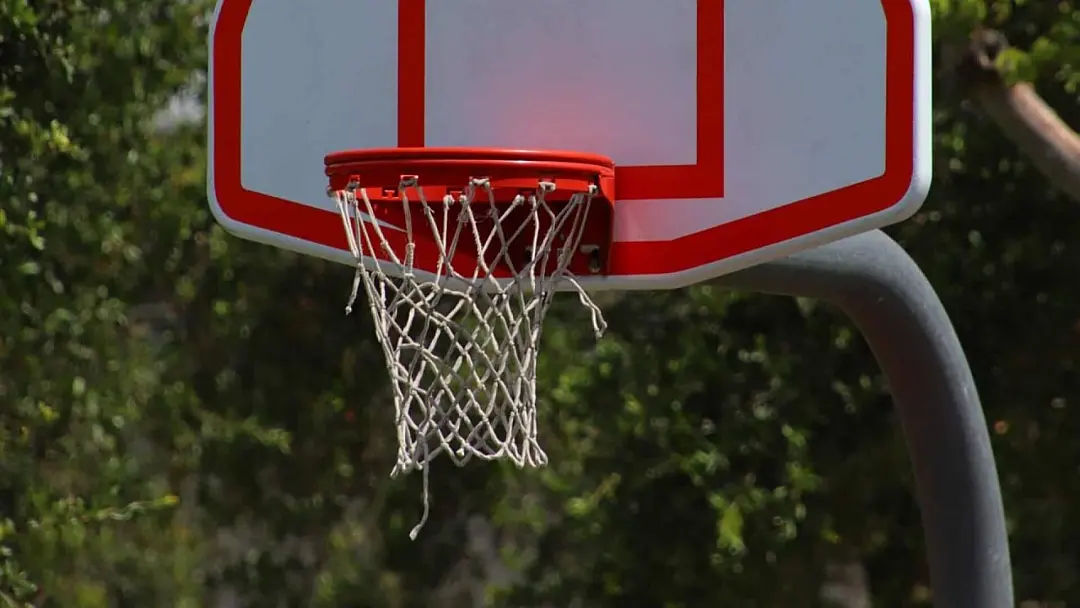 Triple Rim Basketball Hoop